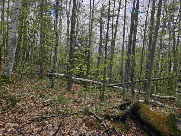 $25,000 | Lot 123 Paulsen Circle, Woodsville, NH 03785