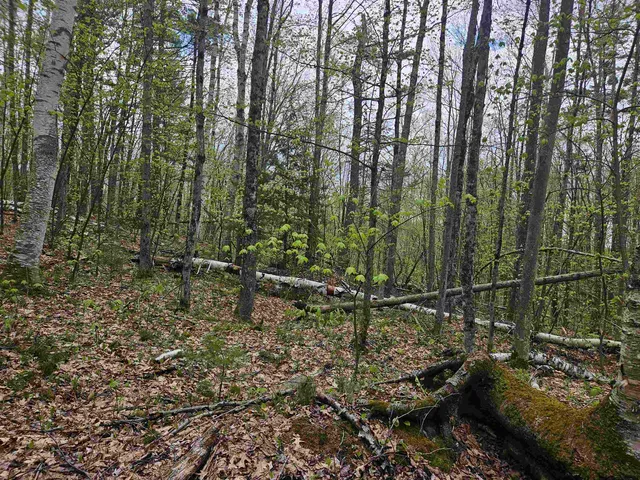 $25,000 | Lot 123 Paulsen Circle, Woodsville, NH 03785