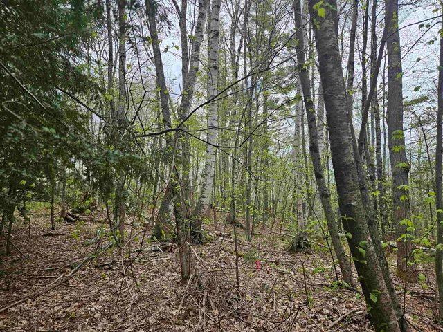 $25,000 | Lot 123 Paulsen Circle, Woodsville, NH 03785