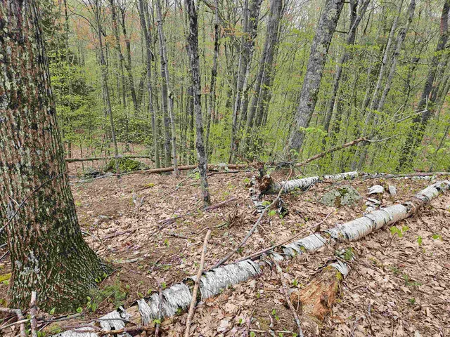 $25,000 | Lot 123 Paulsen Circle, Woodsville, NH 03785