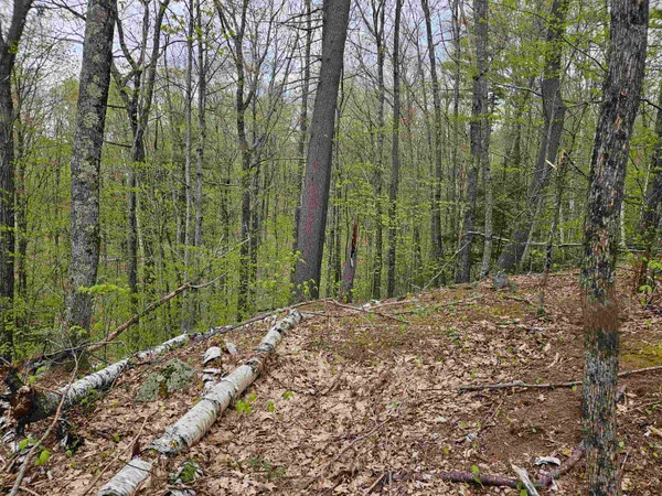 $25,000 | Lot 123 Paulsen Circle, Woodsville, NH 03785
