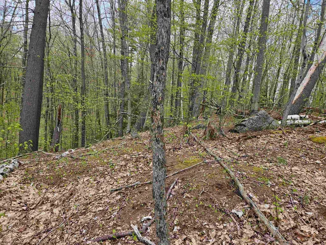 $25,000 | Lot 123 Paulsen Circle, Woodsville, NH 03785