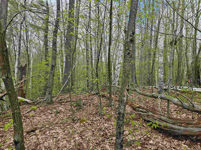 $25,000 | Lot 123 Paulsen Circle, Woodsville, NH 03785