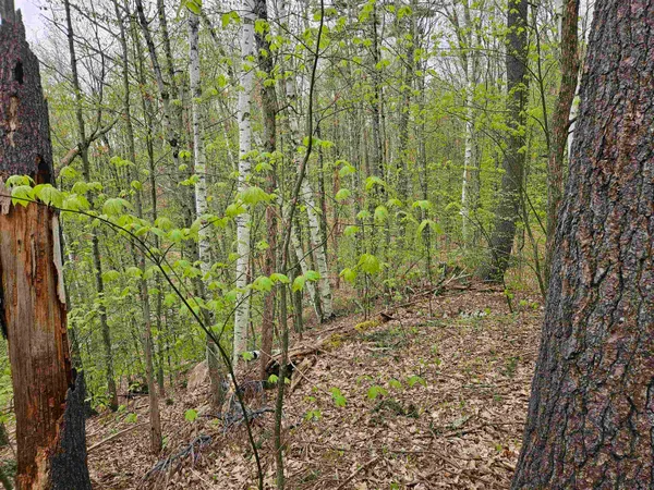 $25,000 | Lot 123 Paulsen Circle, Woodsville, NH 03785