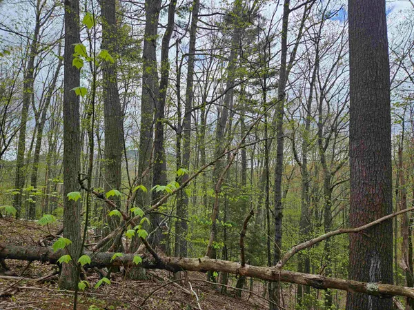 $25,000 | Lot 123 Paulsen Circle, Woodsville, NH 03785