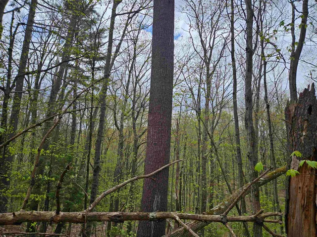 $25,000 | Lot 123 Paulsen Circle, Woodsville, NH 03785