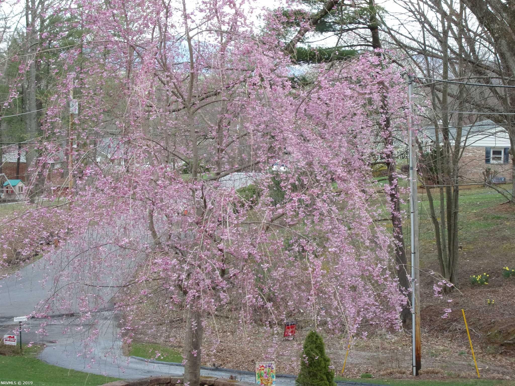 804 Fort Branch Road Pearisburg, VA 24134 - Photo 102 of 104 Gallery Image 102