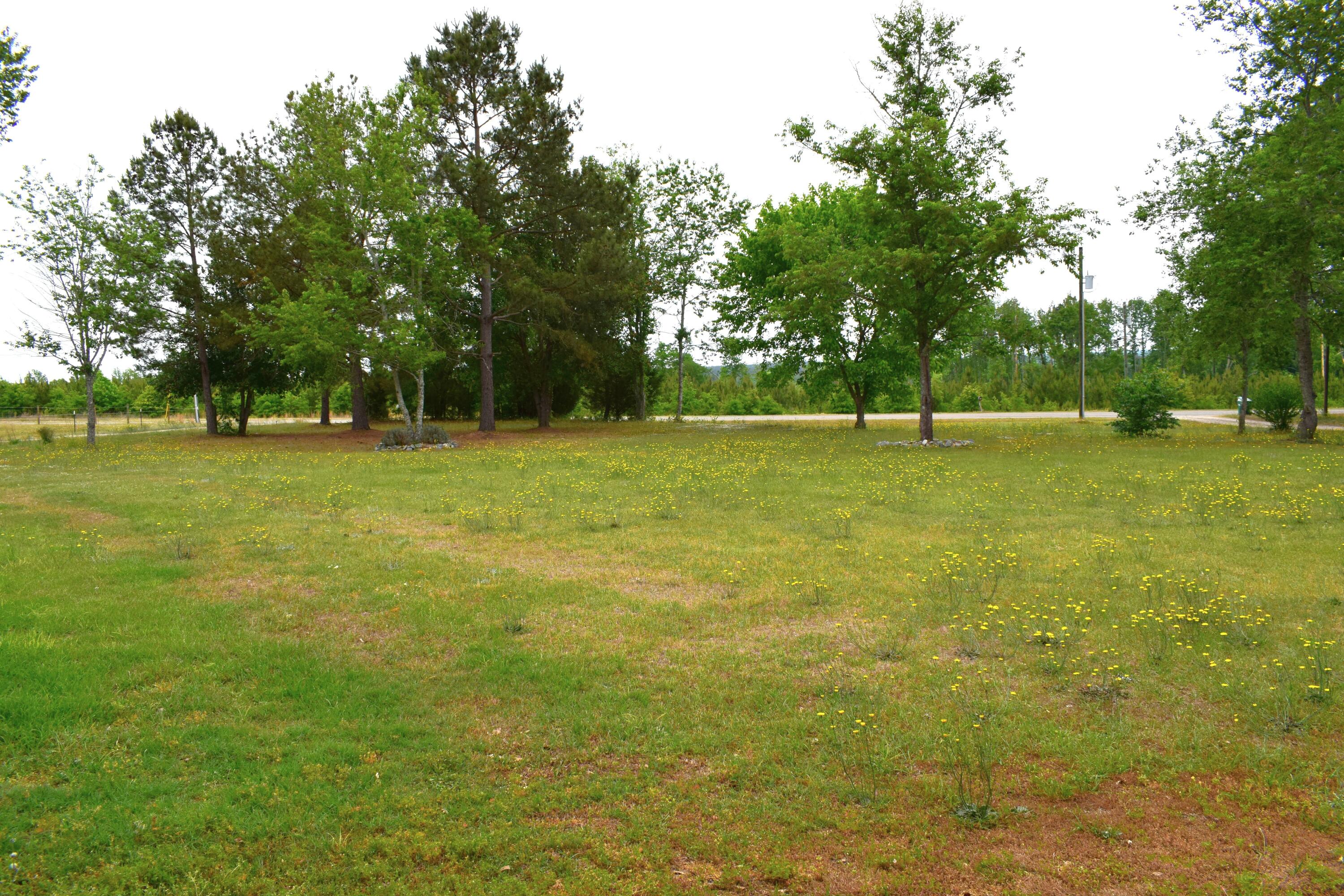 3444 Sand Hill Road Thomson, GA 30824 - Photo 3 of 54 DSC_0016