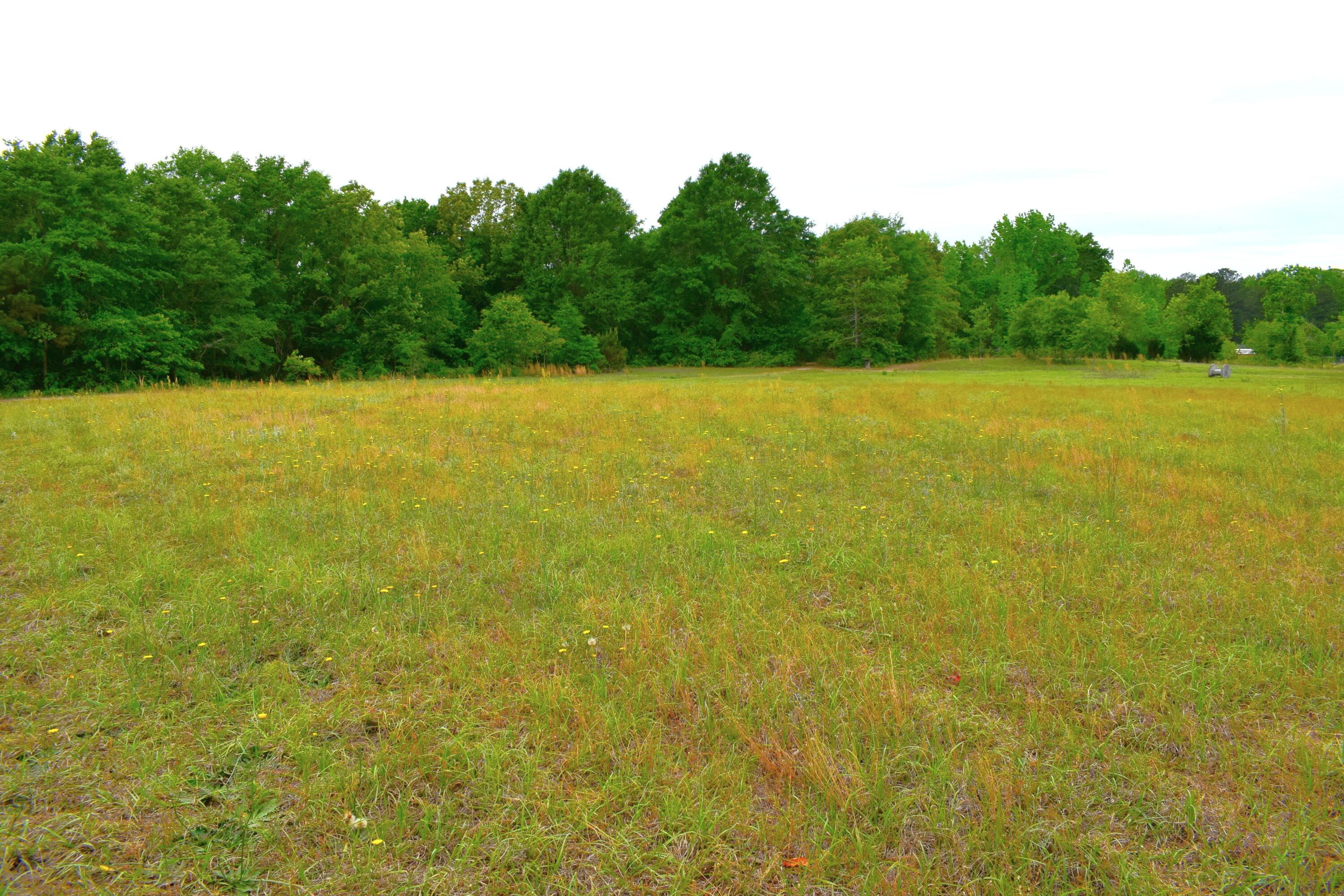 3444 Sand Hill Road Thomson, GA 30824 - Photo 50 of 54 DSC_0013