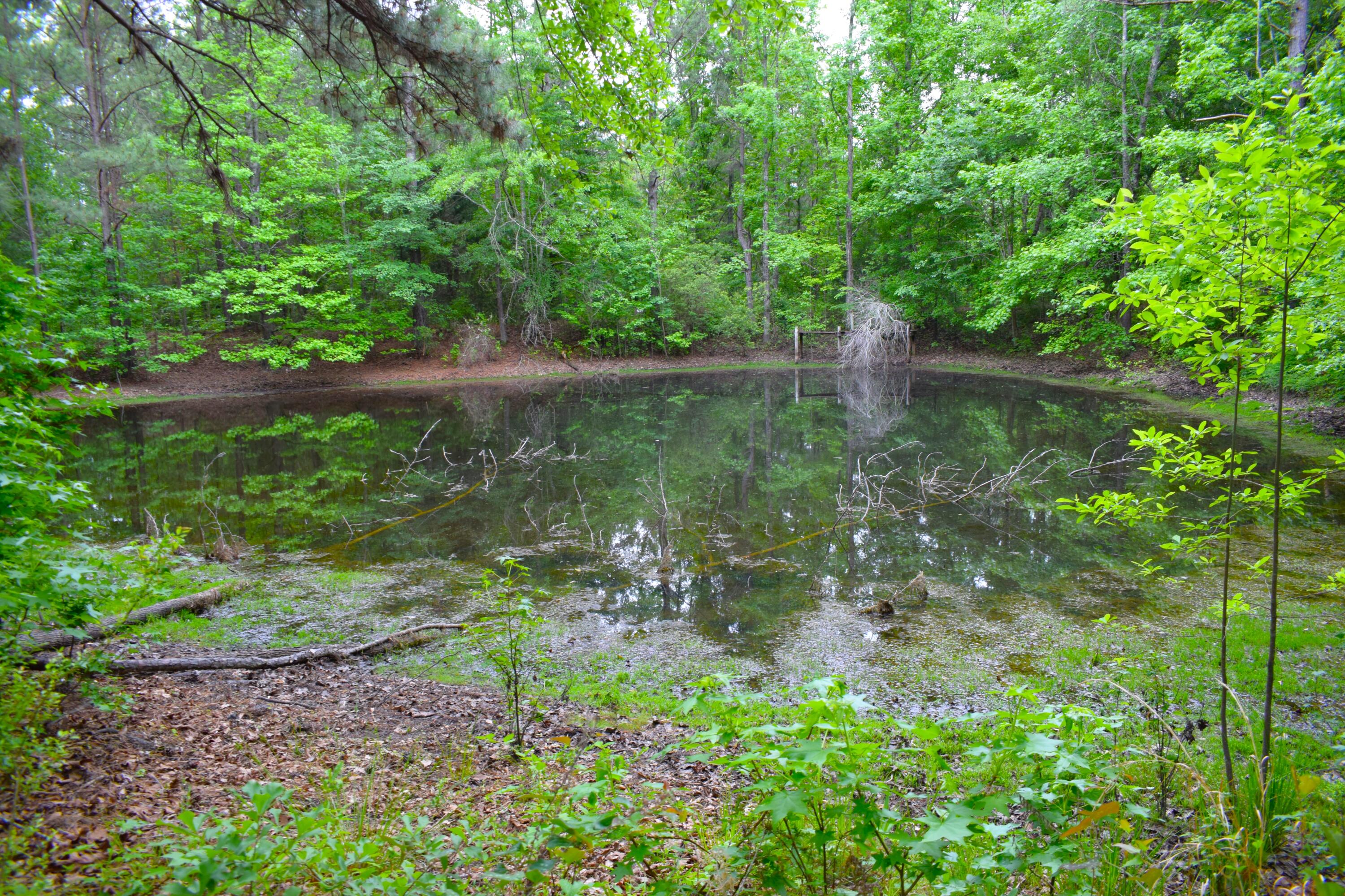 3444 Sand Hill Road Thomson, GA 30824 - Photo 53 of 54 DSC_0006