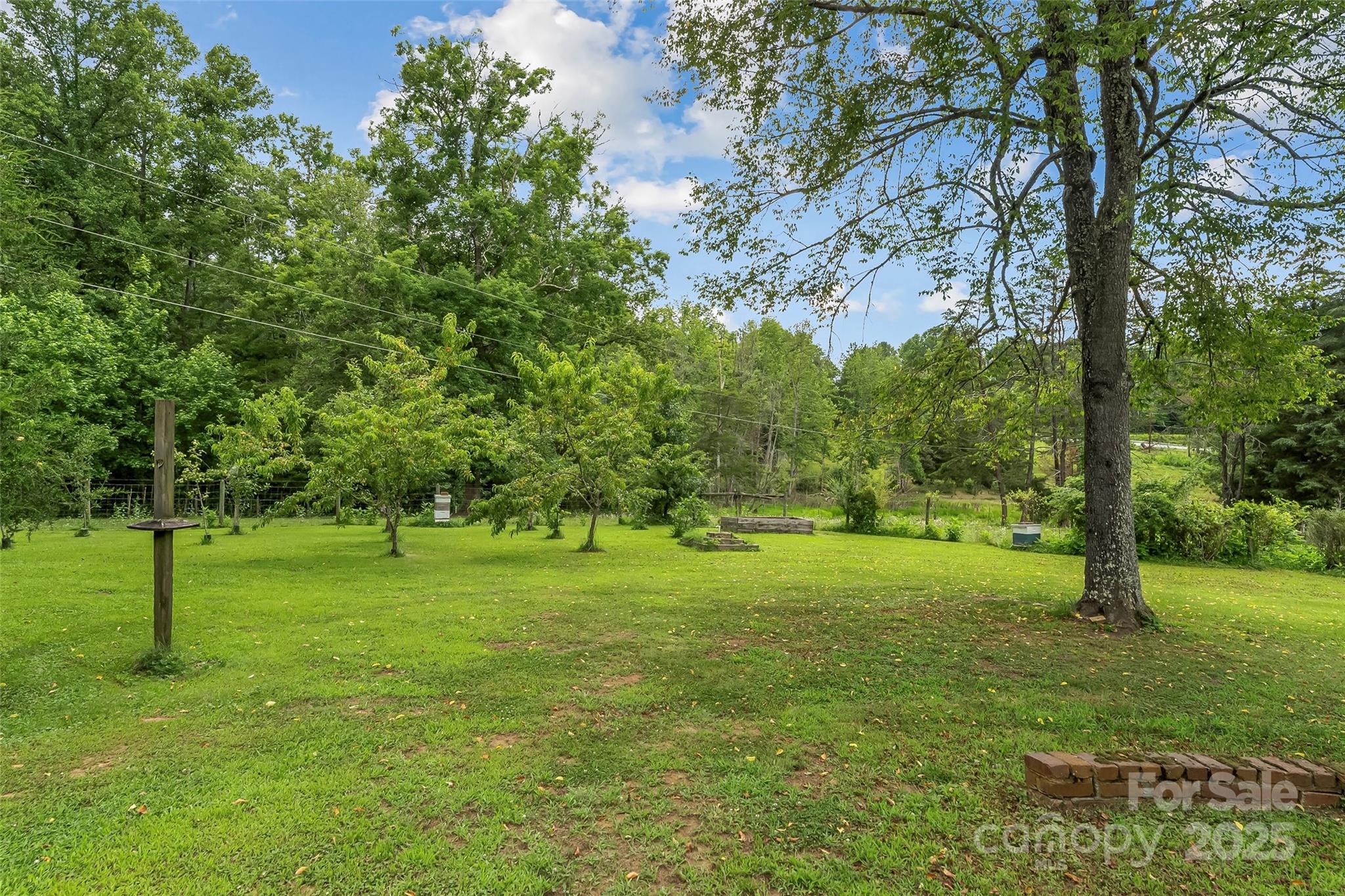 958 Highway 18 Morganton, NC 28655 - Photo 36 of 44 a view of a grassy field with trees in the background