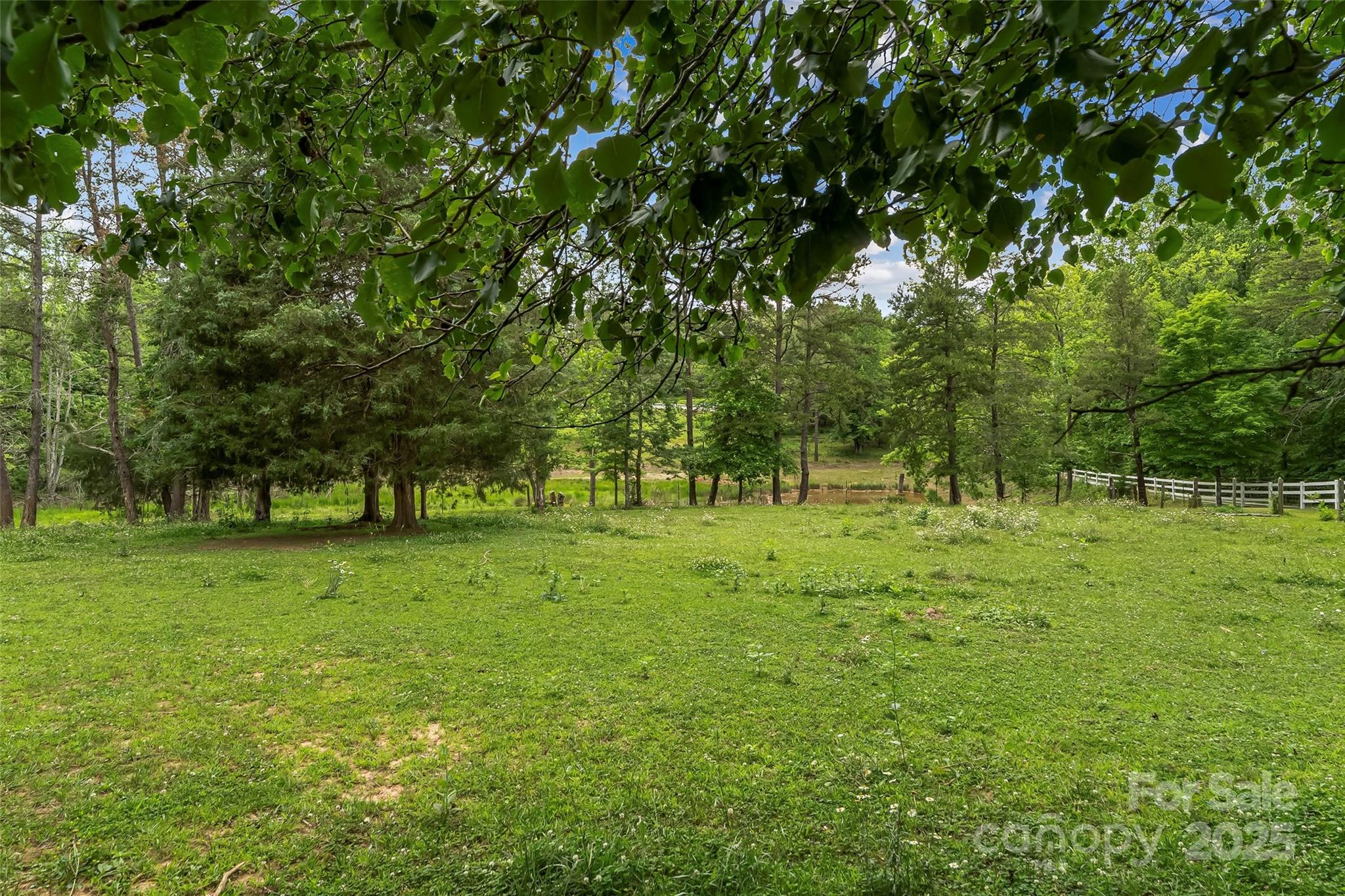 958 Highway 18 Morganton, NC 28655 - Photo 38 of 44 a view of outdoor space with green field and trees