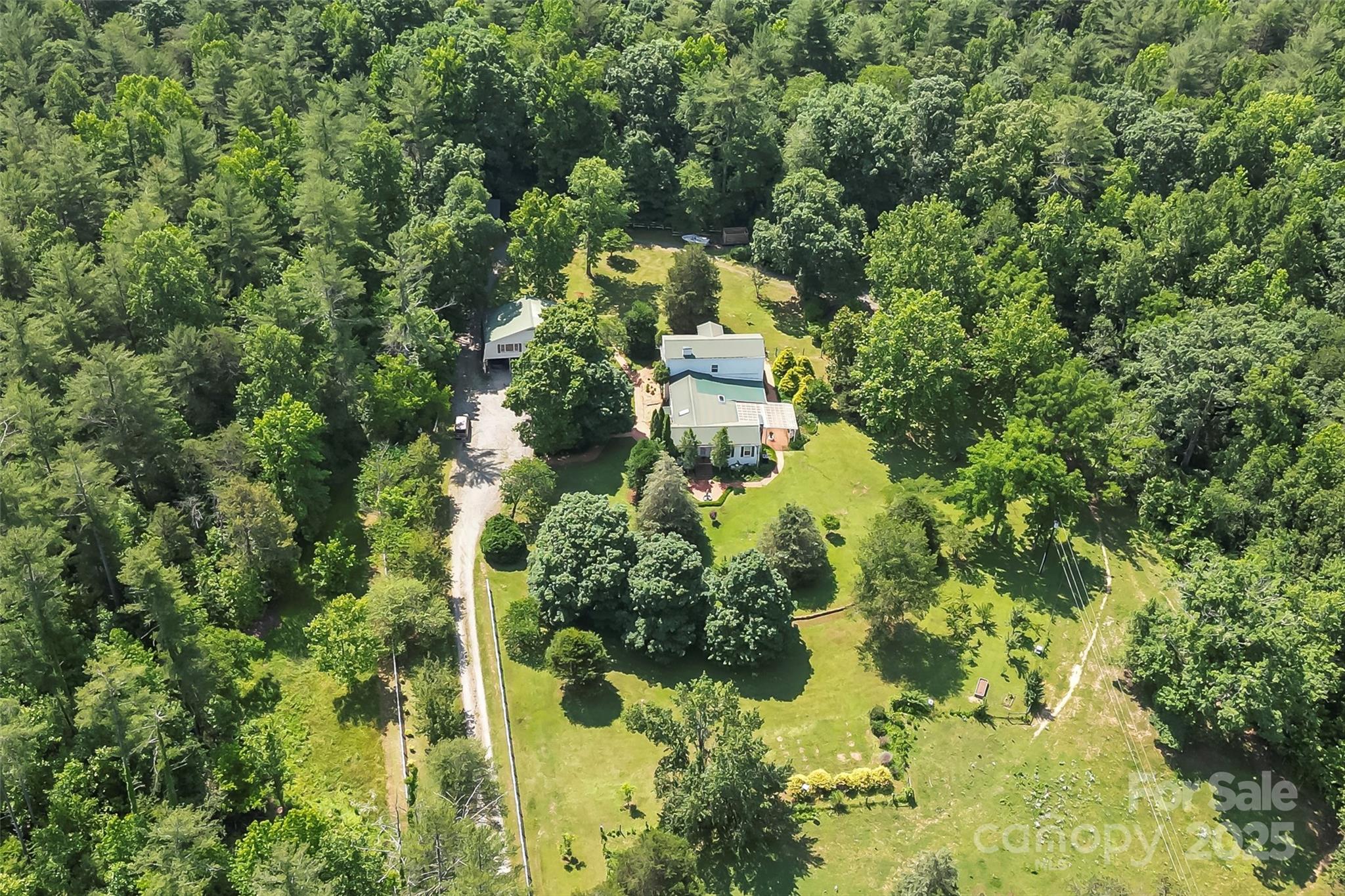 958 Highway 18 Morganton, NC 28655 - Photo 42 of 44 a close up of a plant in a garden