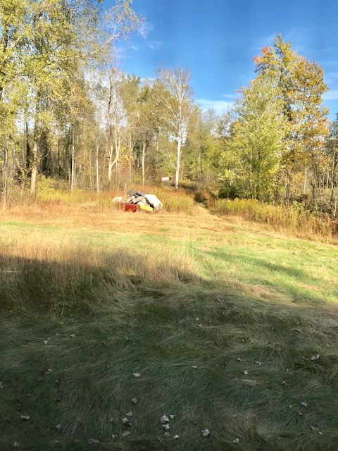 2240 Shenfield Road Turner, MI 48765 - Photo 16 of 18 1839474-15.JPG