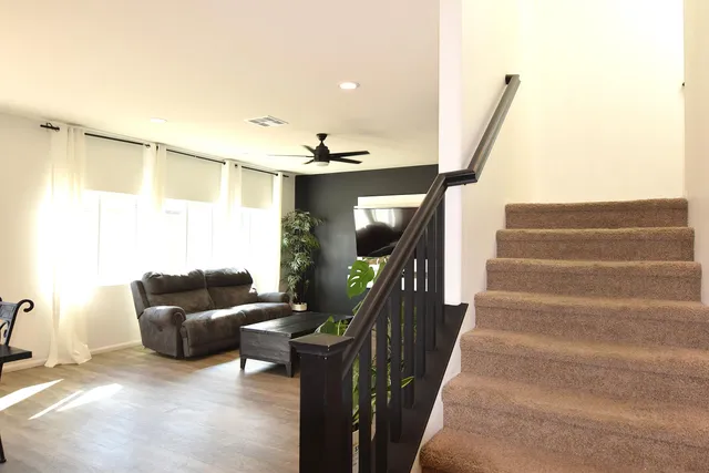 a living room with furniture and a potted plant