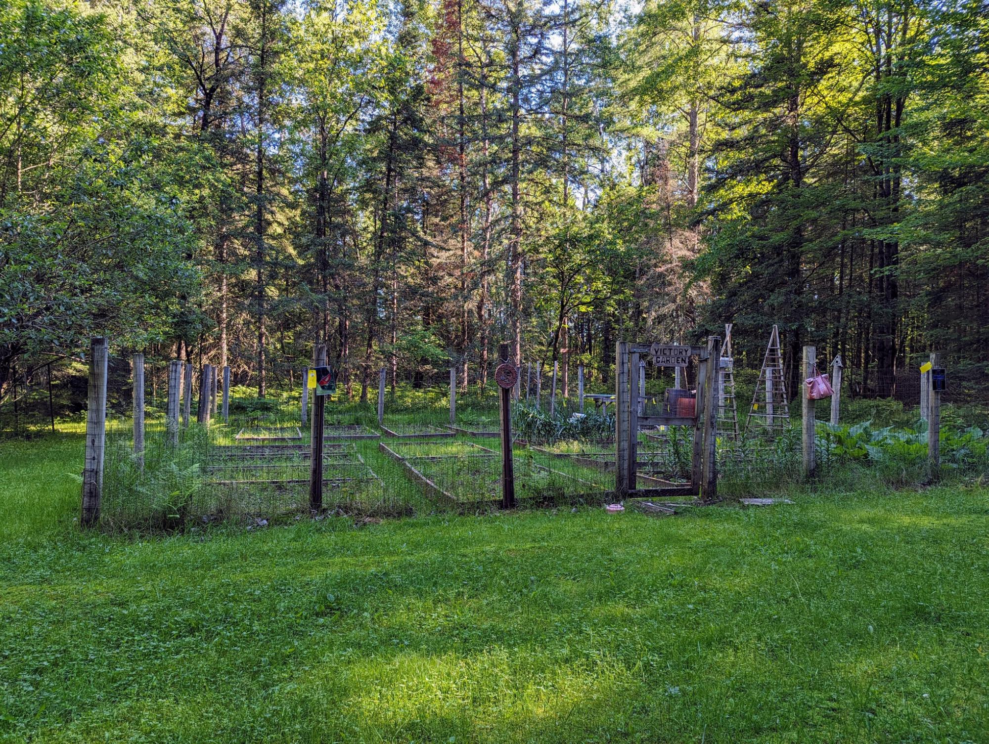 N10052 South Fork Road Phillips, WI 54555 - Photo 7 of 29 Gallery Image 7