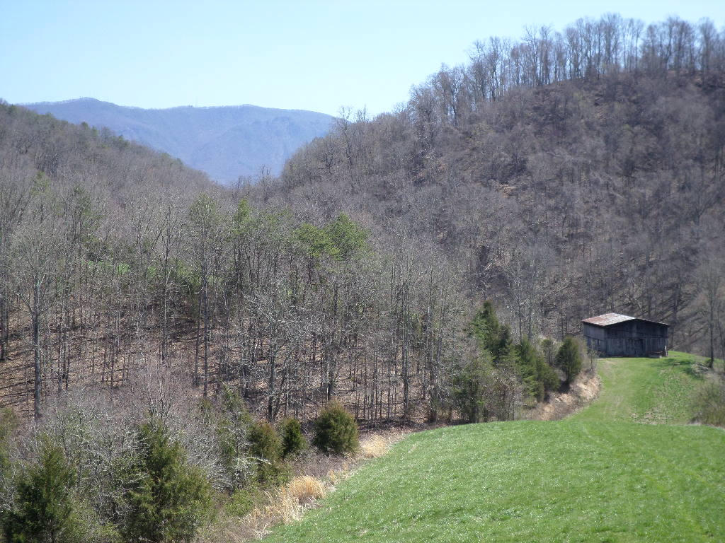 80-acres Lower Rinehart Road Dandridge, TN 37725 - Photo 14 of 21 SAM_0148