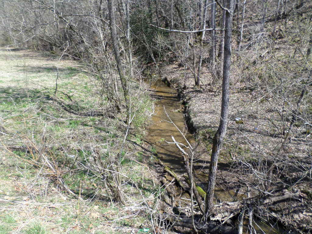 80-acres Lower Rinehart Road Dandridge, TN 37725 - Photo 8 of 21 SAM_0123
