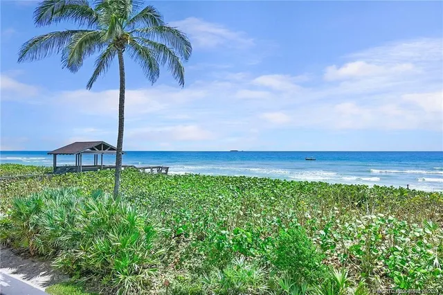 a view of a yard and ocean view