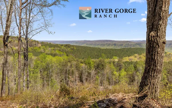 $550,000 | 2225 High Ground Road, Guild, TN 37340