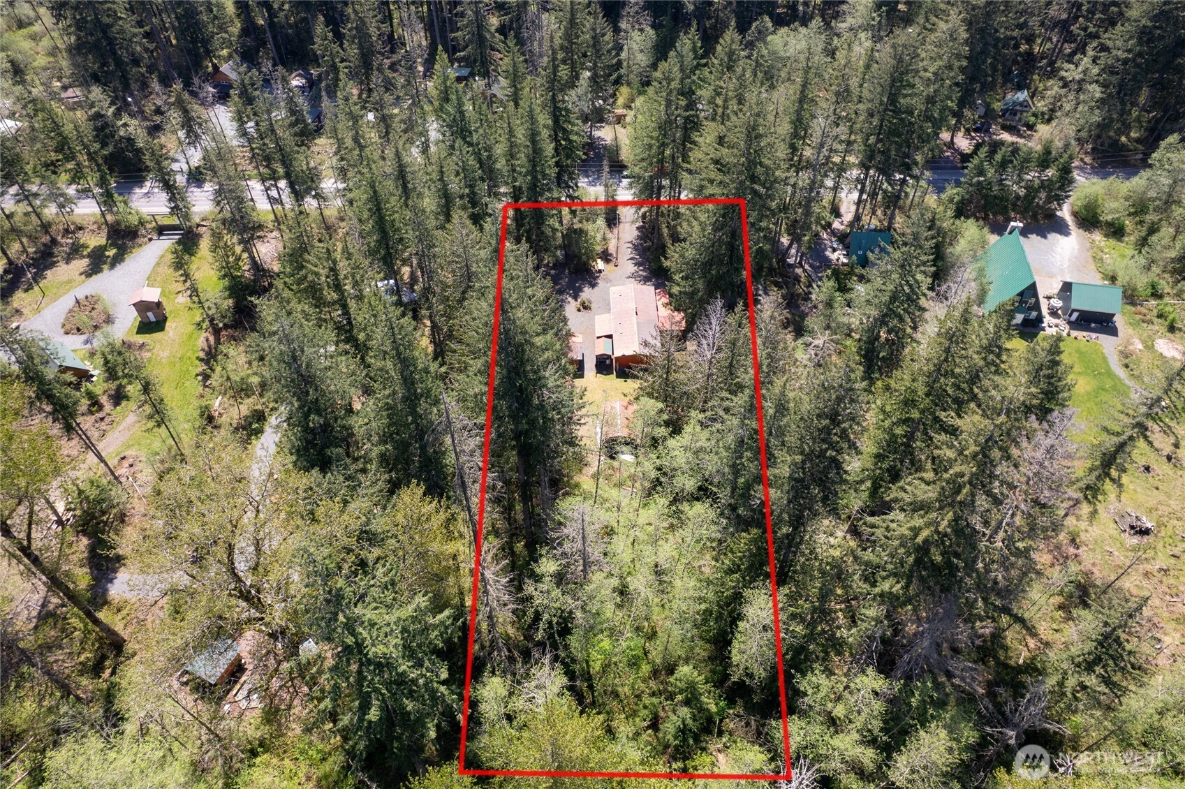 271 Skate Creek Road North Ashford, WA 98304 - Photo 39 of 40 a view of path along with trees