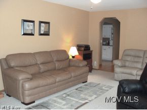890 Anderson Road Fleming, OH 45729 - Photo 12 of 24 Berber Carpet