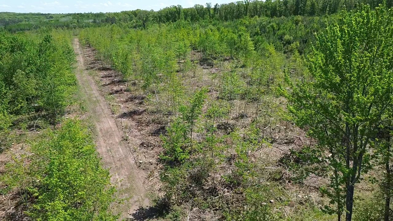 343 X 5th Avenue Shell Lake, WI 54871 - Photo 14 of 16