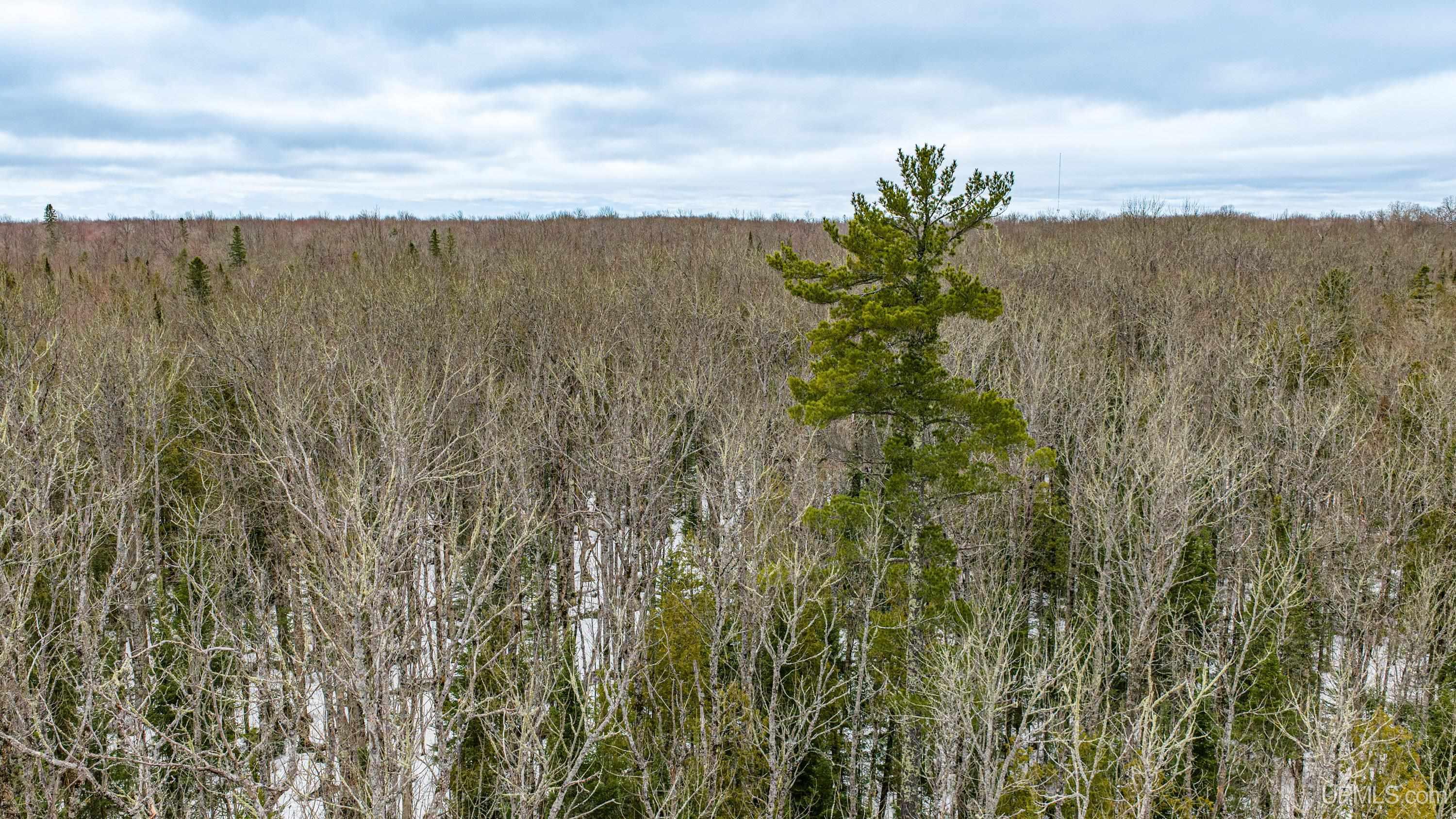Tbd38 East Shore Road Bergland, MI 49910 - Photo 12 of 39