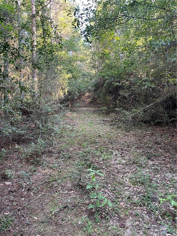 0 Aunt Margies Road Greensburg, LA 70441 - Photo 11 of 15