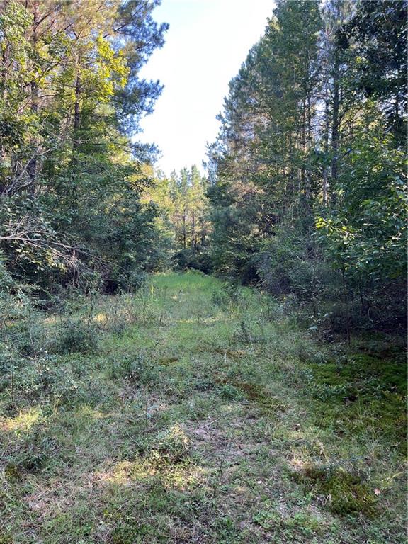 0 Aunt Margies Road Greensburg, LA 70441 - Photo 12 of 15