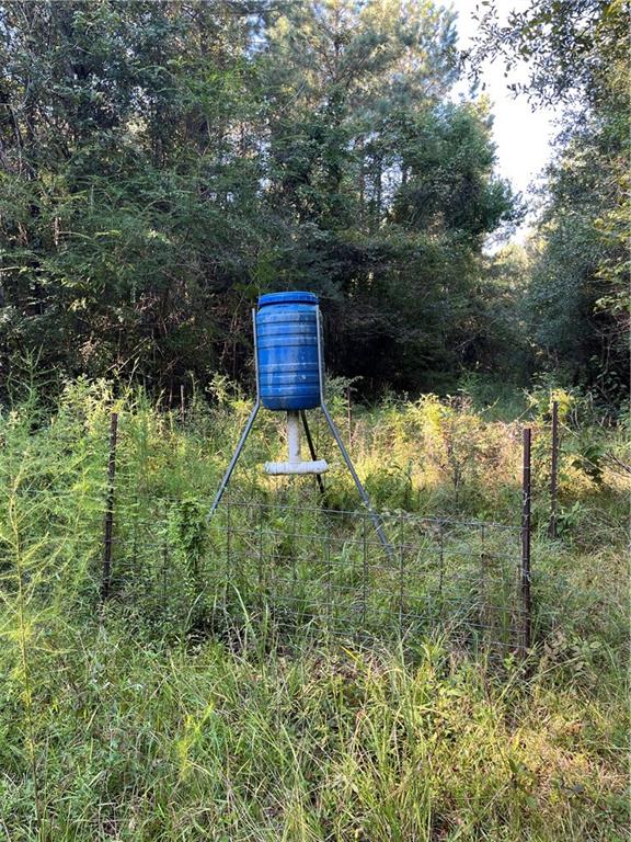 0 Aunt Margies Road Greensburg, LA 70441 - Photo 13 of 15