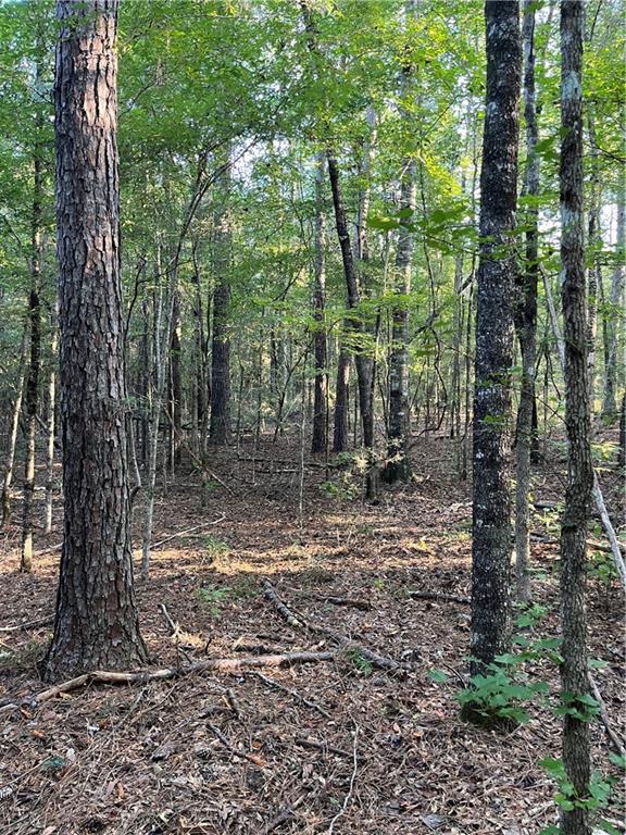 0 Aunt Margies Road Greensburg, LA 70441 - Photo 14 of 15