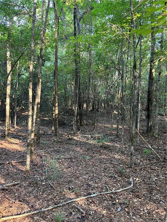 0 Aunt Margies Road Greensburg, LA 70441 - Photo 15 of 15