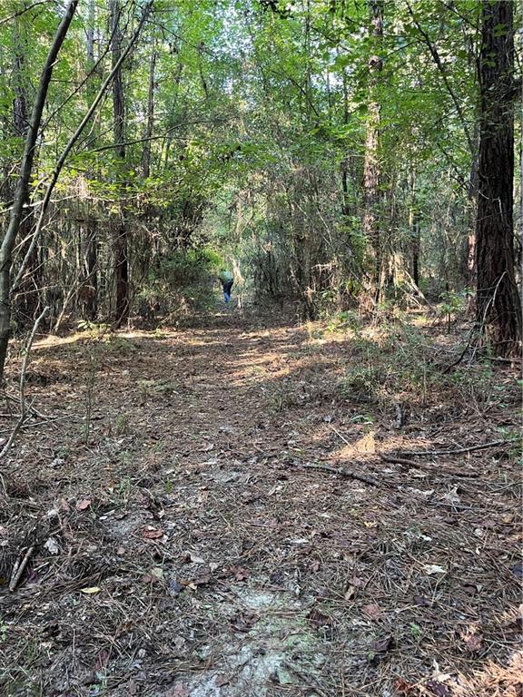 0 Aunt Margies Road Greensburg, LA 70441 - Photo 2 of 15