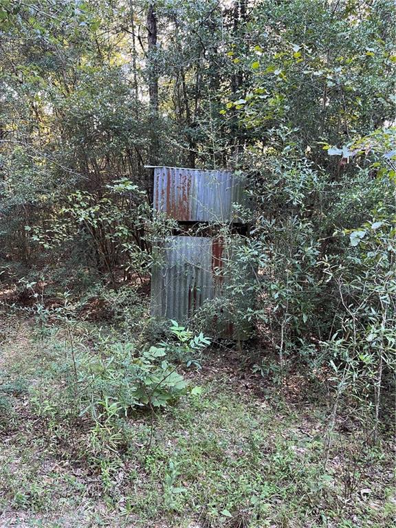 0 Aunt Margies Road Greensburg, LA 70441 - Photo 5 of 15