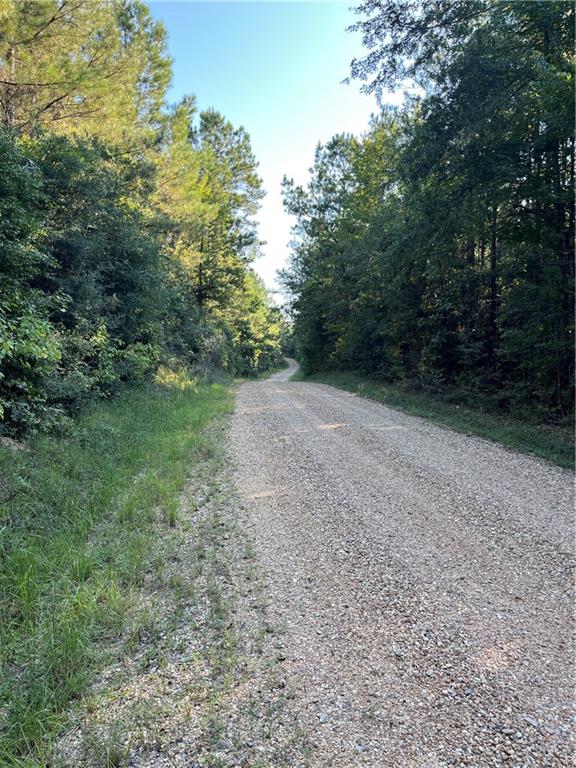0 Aunt Margies Road Greensburg, LA 70441 - Photo 6 of 15