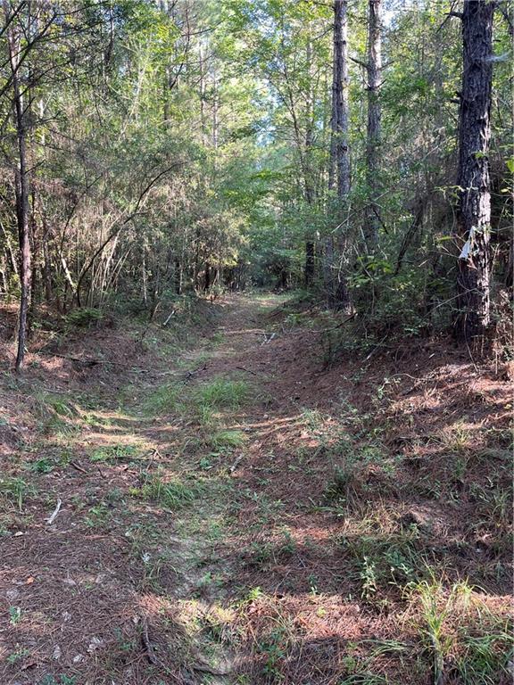 0 Aunt Margies Road Greensburg, LA 70441 - Photo 7 of 15