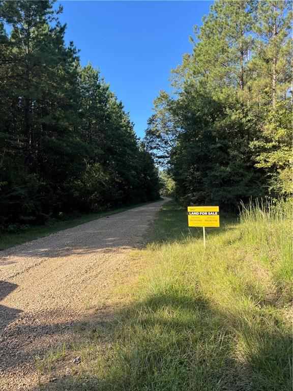 0 Aunt Margies Road Greensburg, LA 70441 - Photo 10 of 15