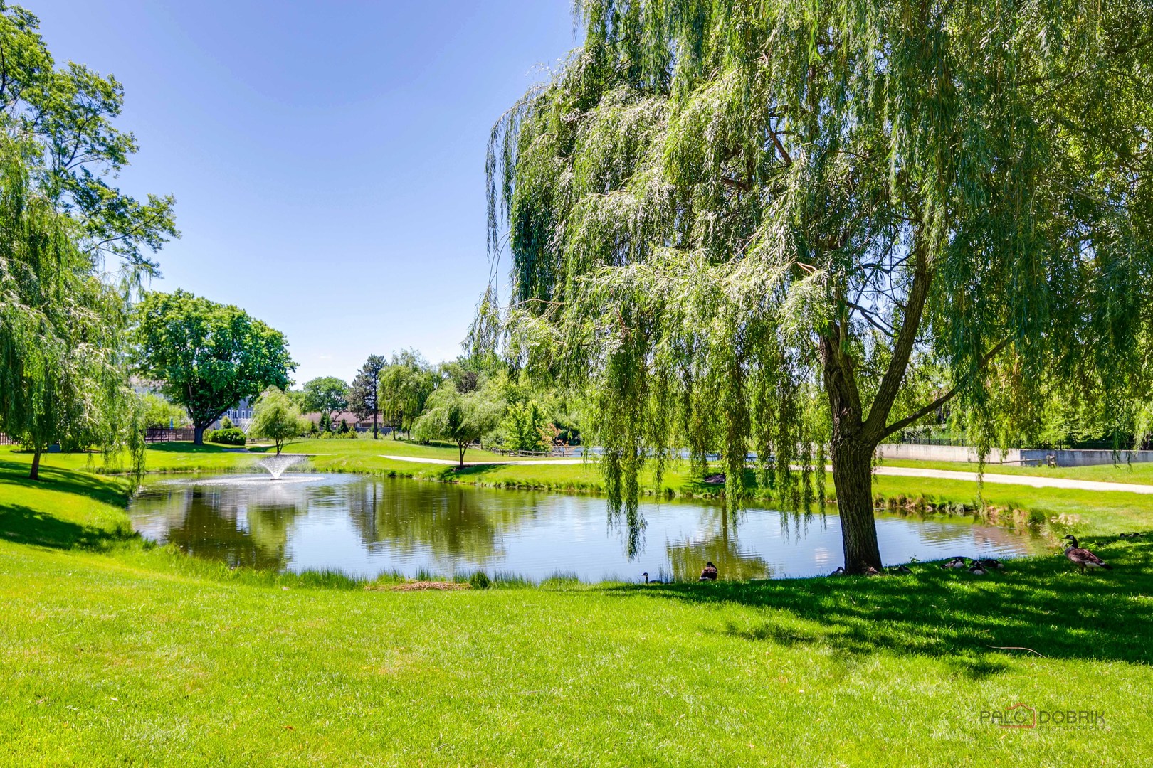 3875 South Mission Hills Road Northbrook, IL 60062 - Photo 44 of 59