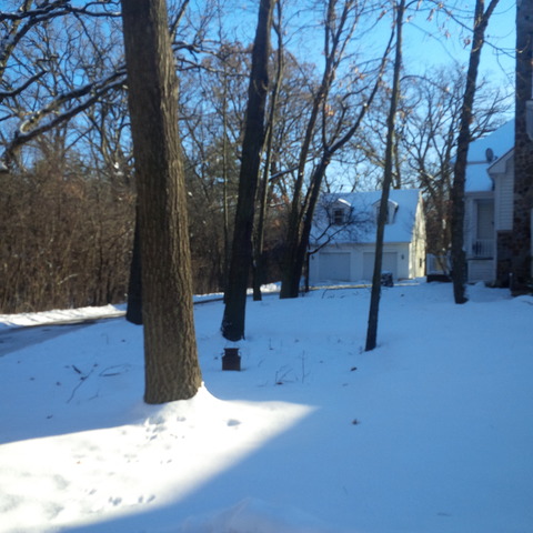 383 West County Line Road Barrington Hills, IL 60010 - Photo 2 of 16 a view of a yard with a tree
