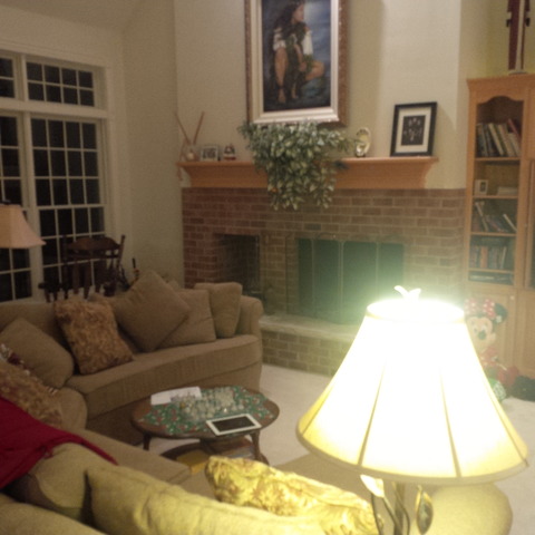 383 West County Line Road Barrington Hills, IL 60010 - Photo 6 of 16 a living room with furniture and a fireplace