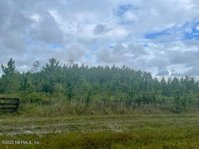 Lot 3 Cr 229 Road Sanderson, FL 32087 - Photo 3 of 13 IMG_0281 (002)