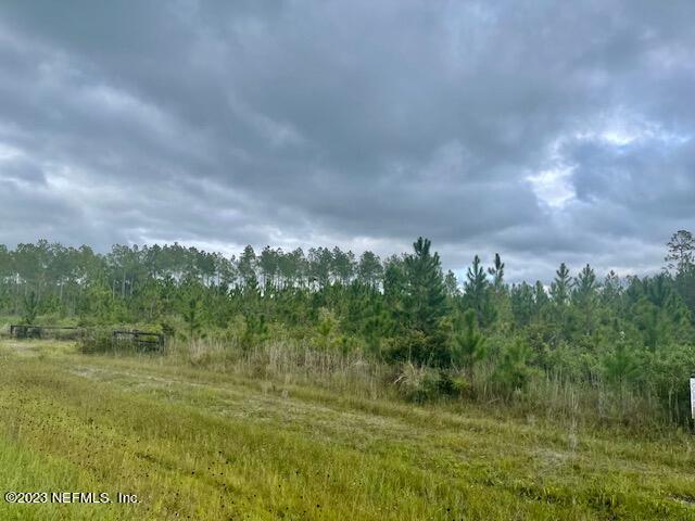 Lot 3 Cr 229 Road Sanderson, FL 32087 - Photo 9 of 13 IMG_0293 (002)