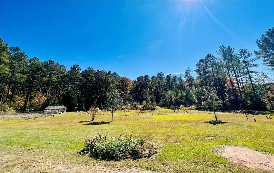 1973 County Rd S-01-40 Abbeville, SC 29620 - Photo 36 of 50 BACK YARD