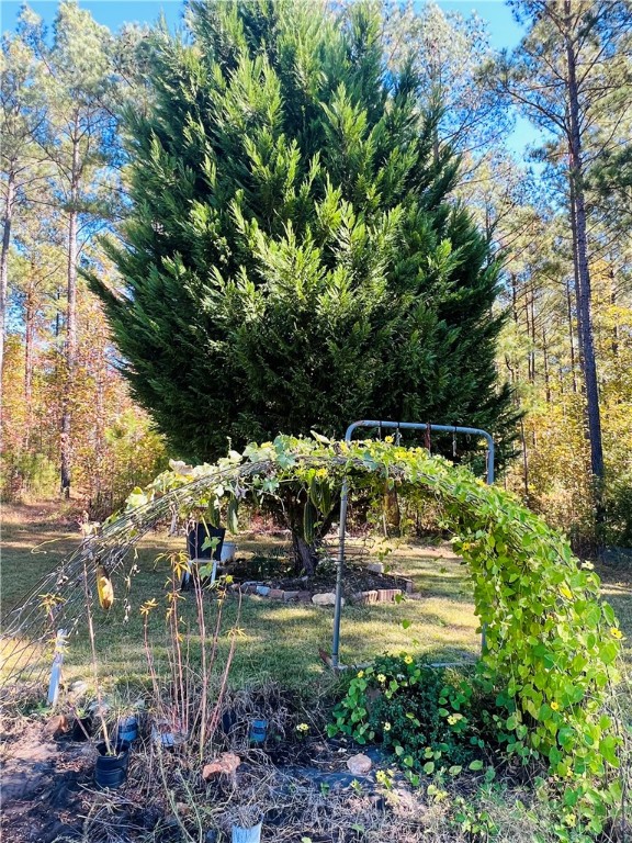 1973 County Rd S-01-40 Abbeville, SC 29620 - Photo 41 of 50 BACK YARD