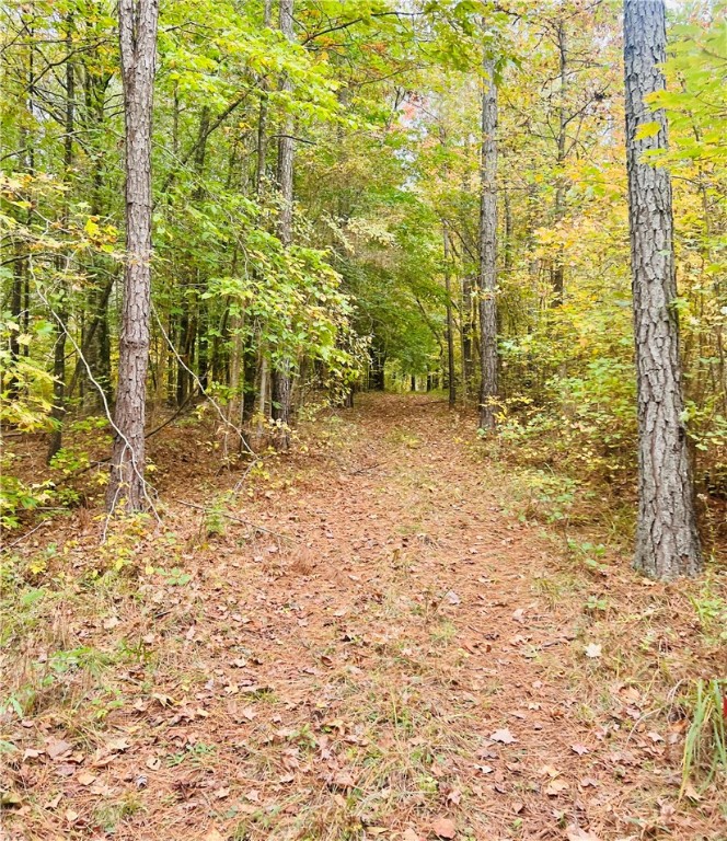 1973 County Rd S-01-40 Abbeville, SC 29620 - Photo 45 of 50 TRAIL