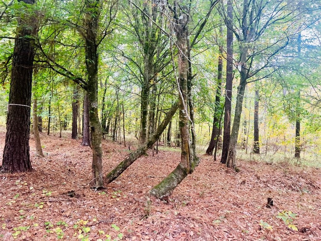 1973 County Rd S-01-40 Abbeville, SC 29620 - Photo 49 of 50 WOODED AREA