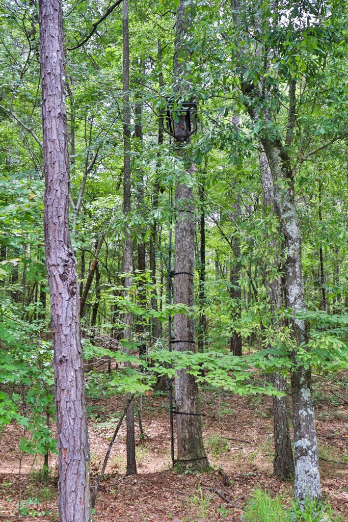535 Pebblebrook Road Woodbury, GA 30293 - Photo 67 of 67 Gallery Image 67