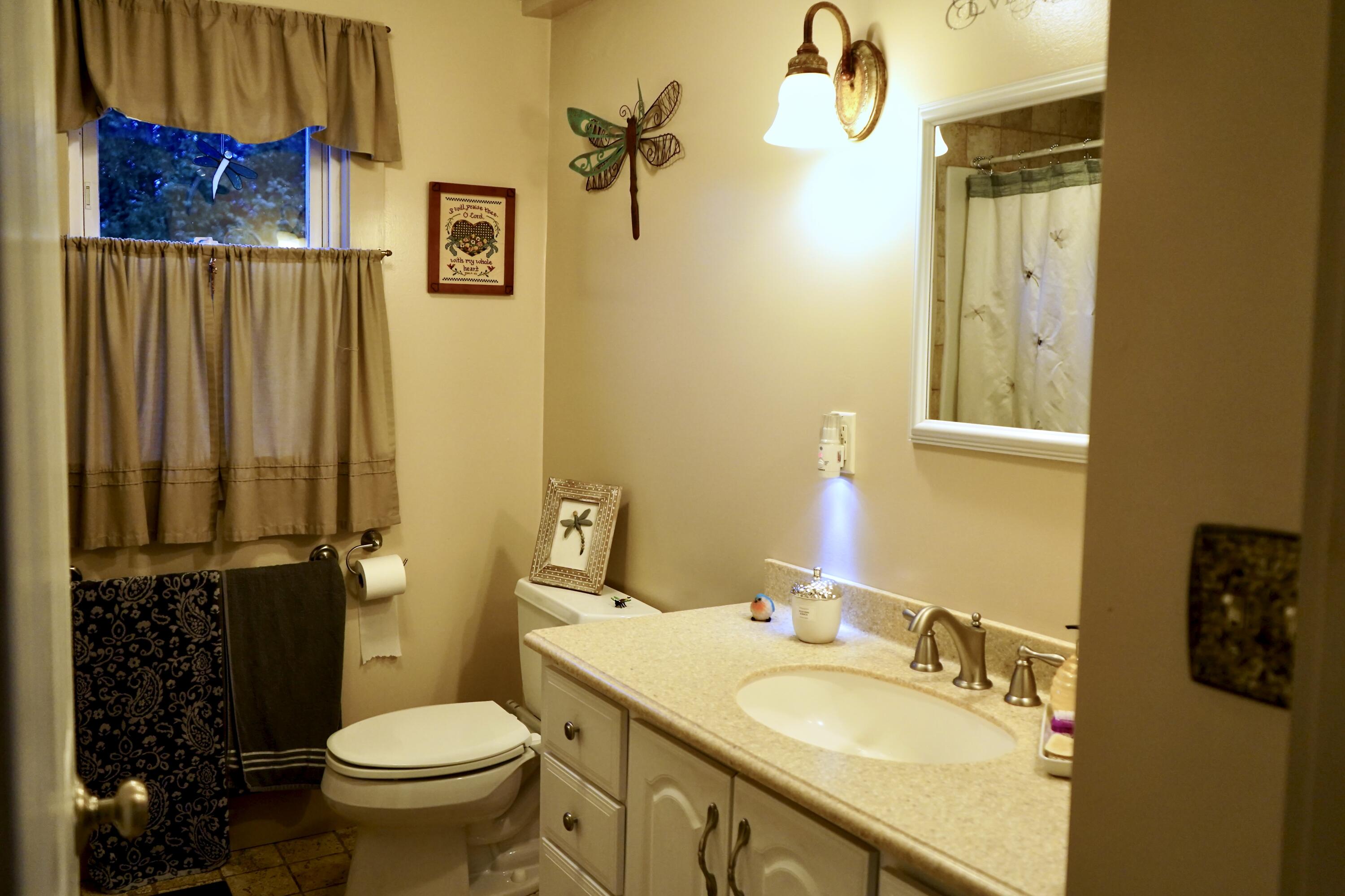 448 Elm Street Newport, ME 04953 - Photo 44 of 64 448 Elm Street Newport