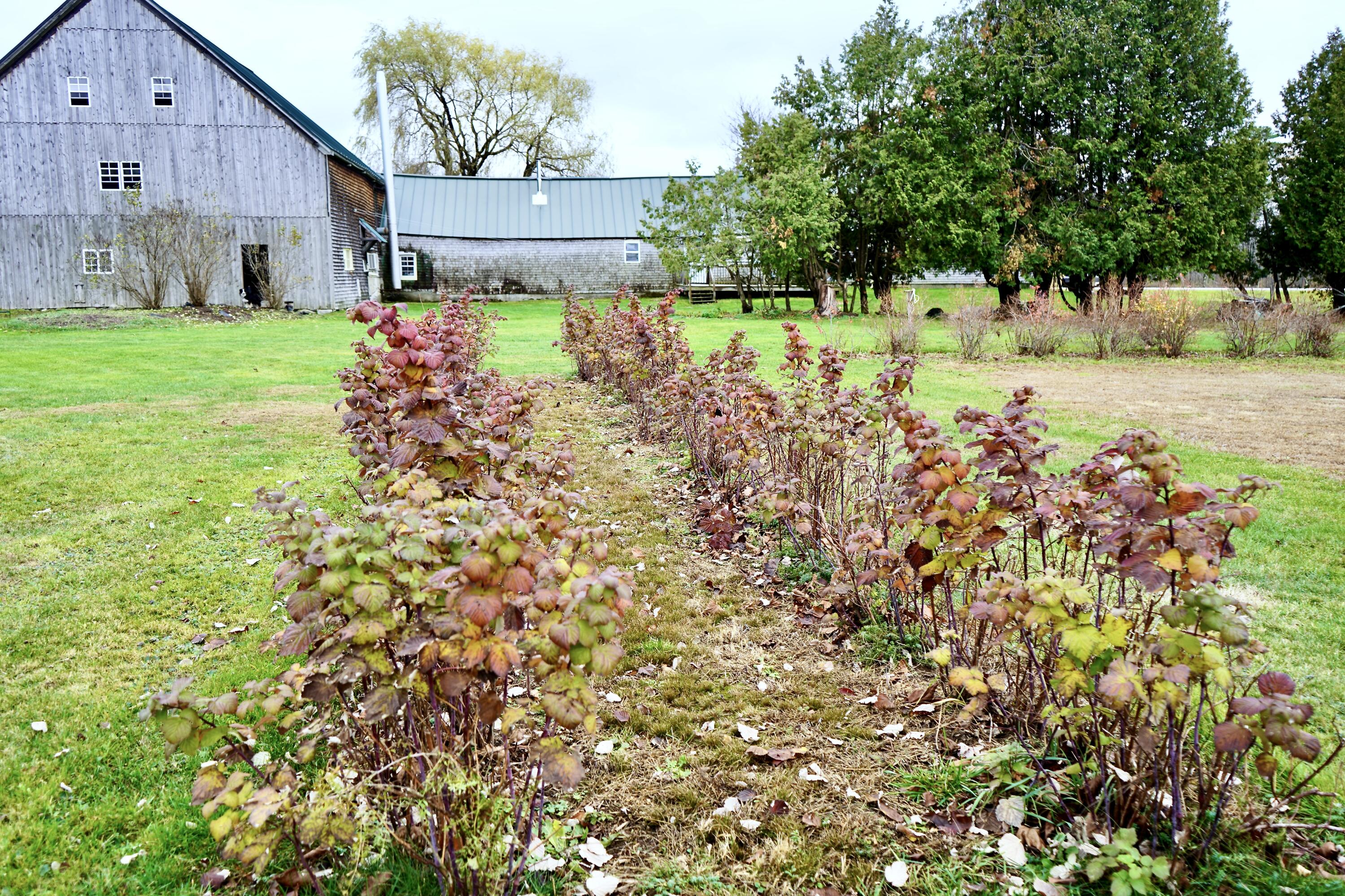 448 Elm Street Newport, ME 04953 - Photo 63 of 64 448 Elm Street Newport